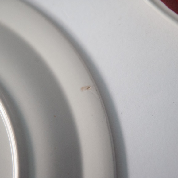 Set of 2 Vintage Lunastone Forest Flower Floral Stoneware 10 5/8" Dinner Plates - Picture 12 of 12